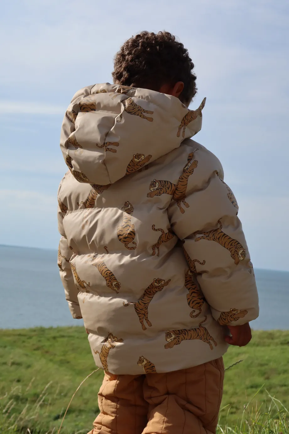 Clearance Konges Sløjd Ace vinterjakke - tiger