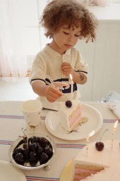 Hot Konges Sløjd fødselsdagspynt - dino