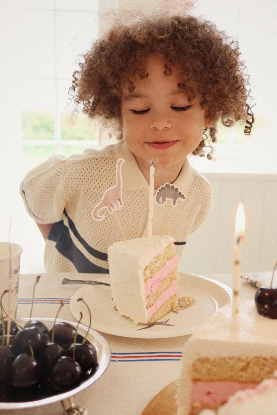 Hot Konges Sløjd fødselsdagspynt - dino