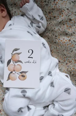 Shop Konges Sløjd milepælskort - multi