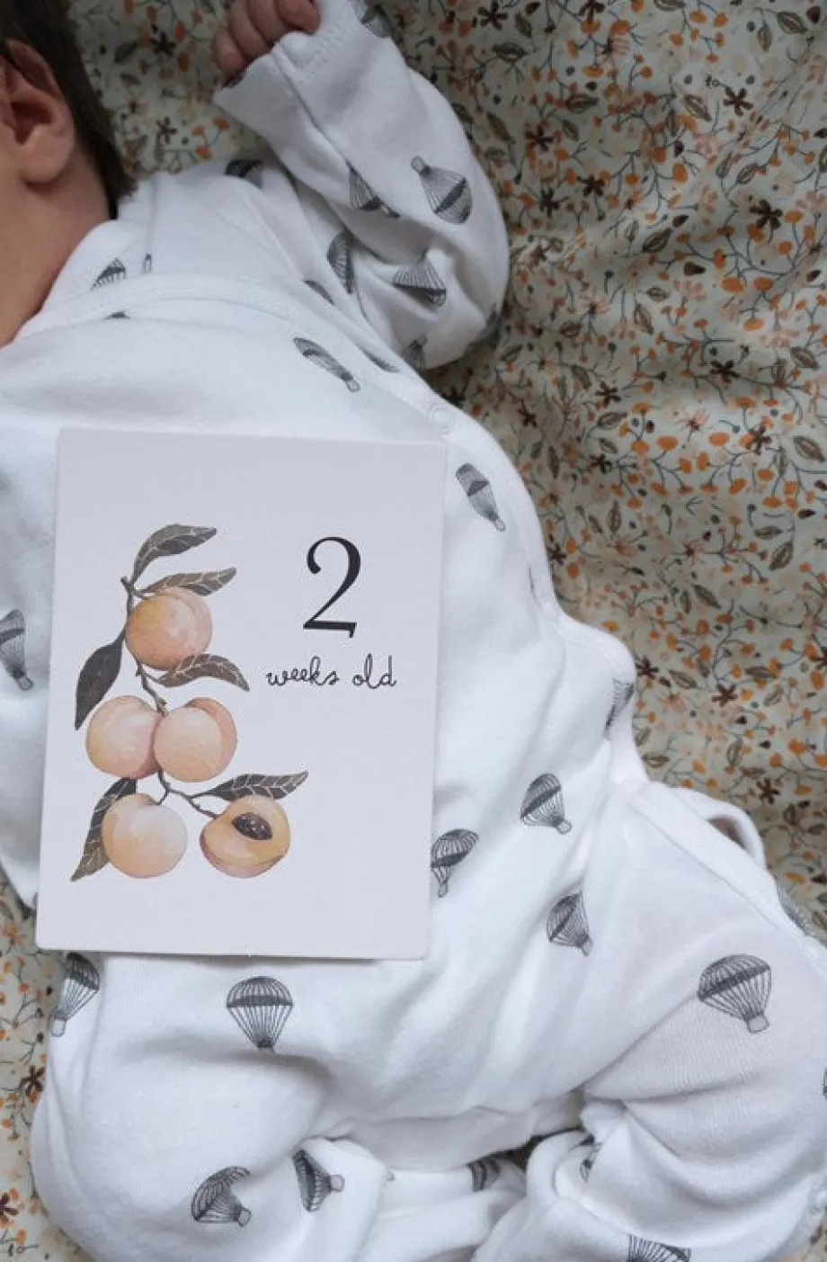 Shop Konges Sløjd milepælskort - multi