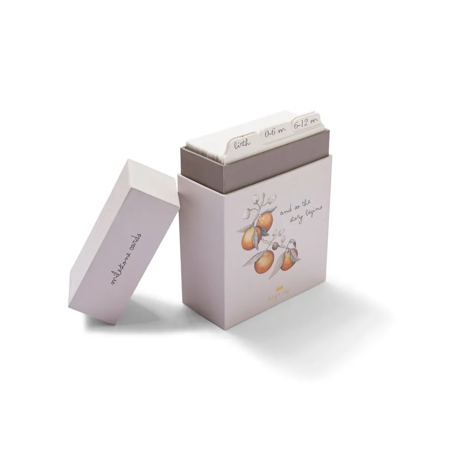 Shop Konges Sløjd milepælskort - multi